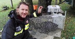Prendersi cura degli animali nelle zone terremotate