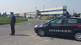 Coltiva piante di marijuana, arrestato operaio 30enne 
