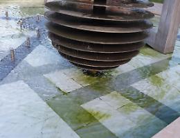 Fontana piazza Fulcheria, solo una settimana senza alghe