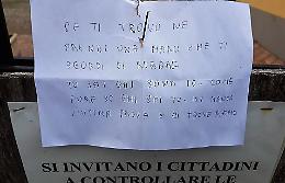 Cittadini detective al cimitero, messaggio al ladro di fiori