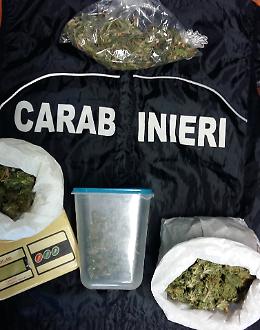 Coltivazione e detenzione di droga, arrestato 35enne  del paese