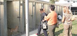 Canile, altra grana: gli Zoofili ricorrono al Tar
