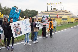 Sit-in davanti al circo