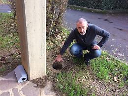 Quartiere delle case popolari: degrado immondizia e ratti