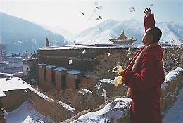 TIBET ultima frontiera AMDO e KHAM
Sette viaggi alla ricerca dell'anima del Tibet
