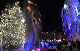 Con l'accensione del grande  albero è già Natale