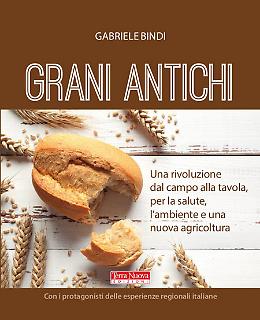 Grani antichi. Una rivoluzione dal campo alla tavola