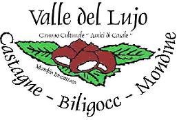 Sagra dei Biligocc a Casale di Albino (Bg)
