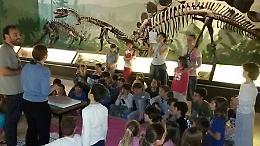 "Dinosaur night"...una notte con i dinosauri!