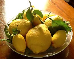LA RICETTA
Gelatina di limoni