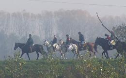 Parco Oglio Nord - 3 passeggiate a cavallo