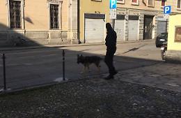 Le foto dell'intervento dei carabinieri alla scuola Anguissola