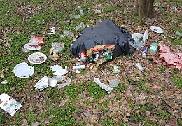 Discarica selvaggia in via Vulpariolo