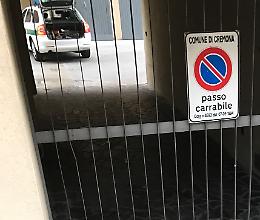 Capriolo investito a due passi dal centro
