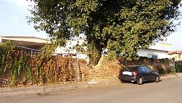 Fra Cristoforo senza pace. Abbattuto il muro del convento