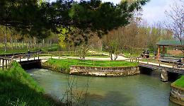 "Le Tombe Morte - Aspetti naturalistici"