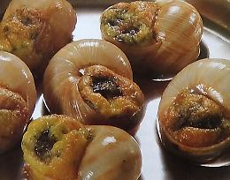 LA RICETTA
Lumache ripiene al forno