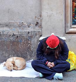 Al bando l'accattonaggio con i cani