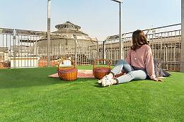 Milano - Picnic sui tetti della Galleria