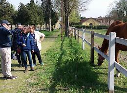Stalloni e Cre, porte aperte: l'abbraccio dei cremaschi