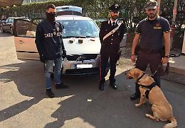 Corriere della droga bloccato in A21 al casello di Caorso