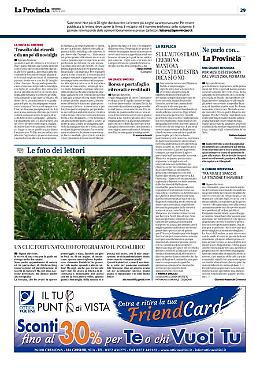 Lettere al Direttore (2)
