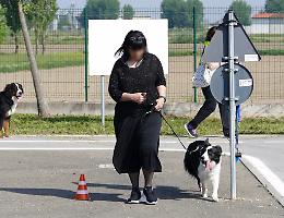 Patentino per conduttori di cani, corso sospeso