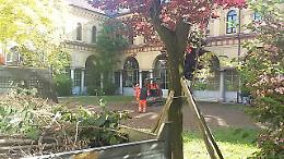 Manutenzione aree verdi, sistemato il Giardino dei Semplici alla Campi
