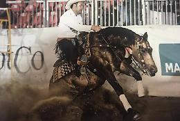 Il Salone del Cavallo Americano a CremonaFiere