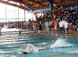 Piscina comunale, si rivolge al Tar una delle due società escluse