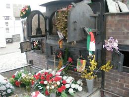 Viaggio della Memoria 2017: i contributi degli studenti