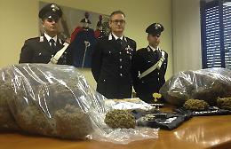Droga per oltre 500mila euro, maxi sequestro a Crema