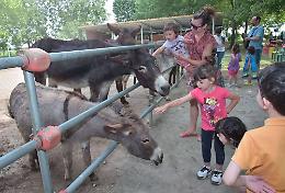 Baby Asino Day, giornata dedicata alla natura