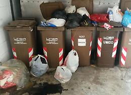 Caso Cambonino, esposto all'Ats: "rischio sanitario"