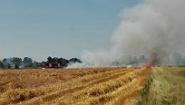 Campo d'orzo a fuoco lungo la ferrovia