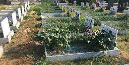 Cimitero, terra di nessuno: erba alta tra le sepolture e proteste