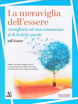 La Meraviglia dell'Essere - Jeff Foster
