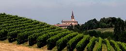 "Il Giardino del Pinot Nero"