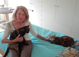 Oasi felina, la protesta delle 'gattare'