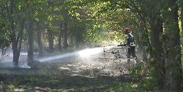 Incendio al Fenilone, i pompieri domano le fiamme