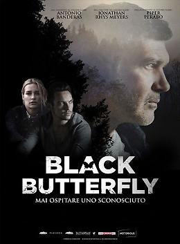 Black Butterfly