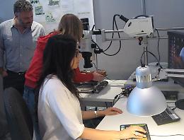 Liuteria, progetto con Yamaha per ricerche comuni sui violini