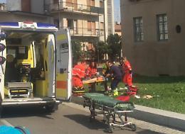 Donna sbranata da due cani, ricoverata in gravi condizioni