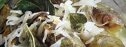 LA RICETTA
Boghe in scabecio
