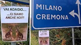 'Blitz' antivelocità, monito per salvare i leprotti