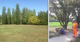 Parco Asia, l'area ora è a disposizione di tutti