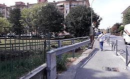 Nutrie per strada, spavento: allertato anche il Comune