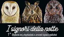 1° Raduno Italiano dei Proprietari e Amanti Rapaci Notturni