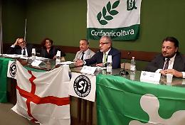 "Ho chiesto a tre governi di trattenere il residuo fiscale della Lombardia, inutilmente"