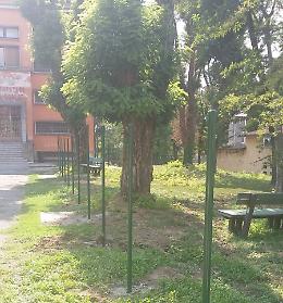 Chiavi ai padroni, debutta l'area cani alla scuola Bissolati